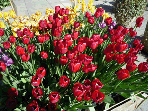 日曜日の出来事